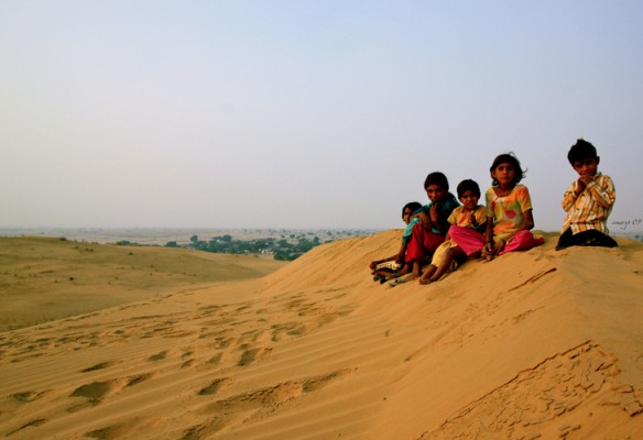 Le désert du Thar