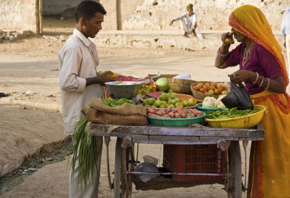 Le Shekhawati