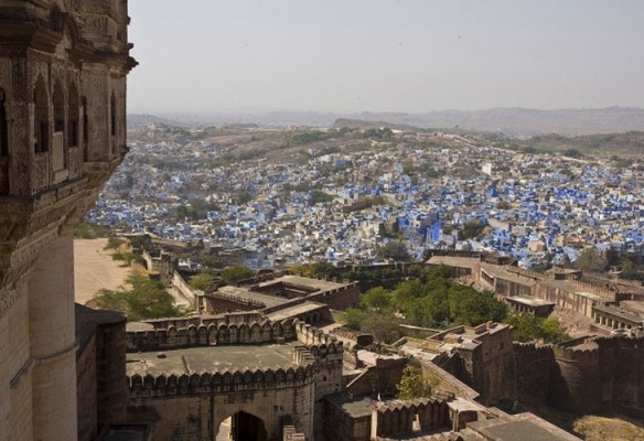 Jodhpur "la bleue"