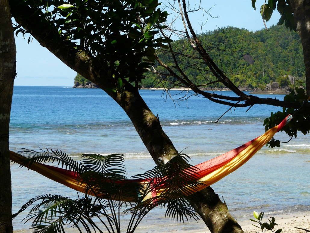 sumatra - crédit inconnu 2.jpg