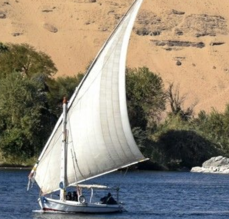 Avis de Michèle B - Voyage en Egypte