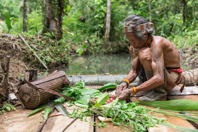 Voyage combiné Sumatra et Bali : 3 semaines en Indonésie chez l